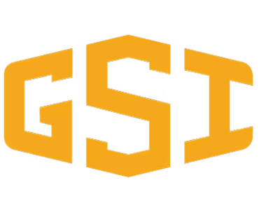GSI